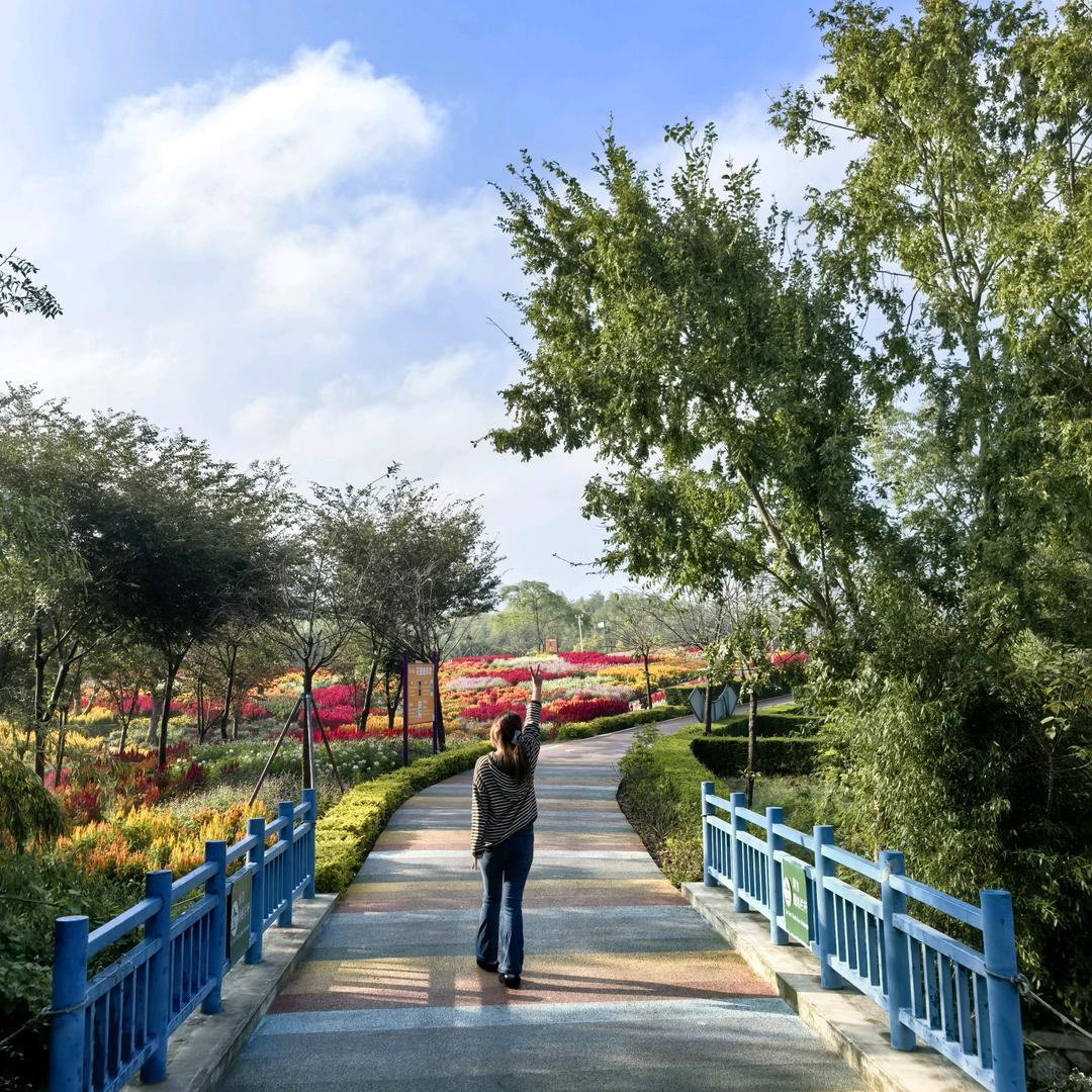 @丹阳蒋涛牌面条机械厂