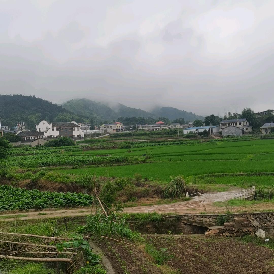 空军悟钓
