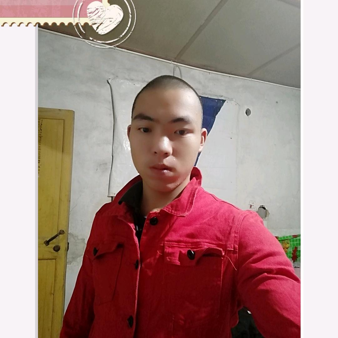 常回家看看荷花玫瑰