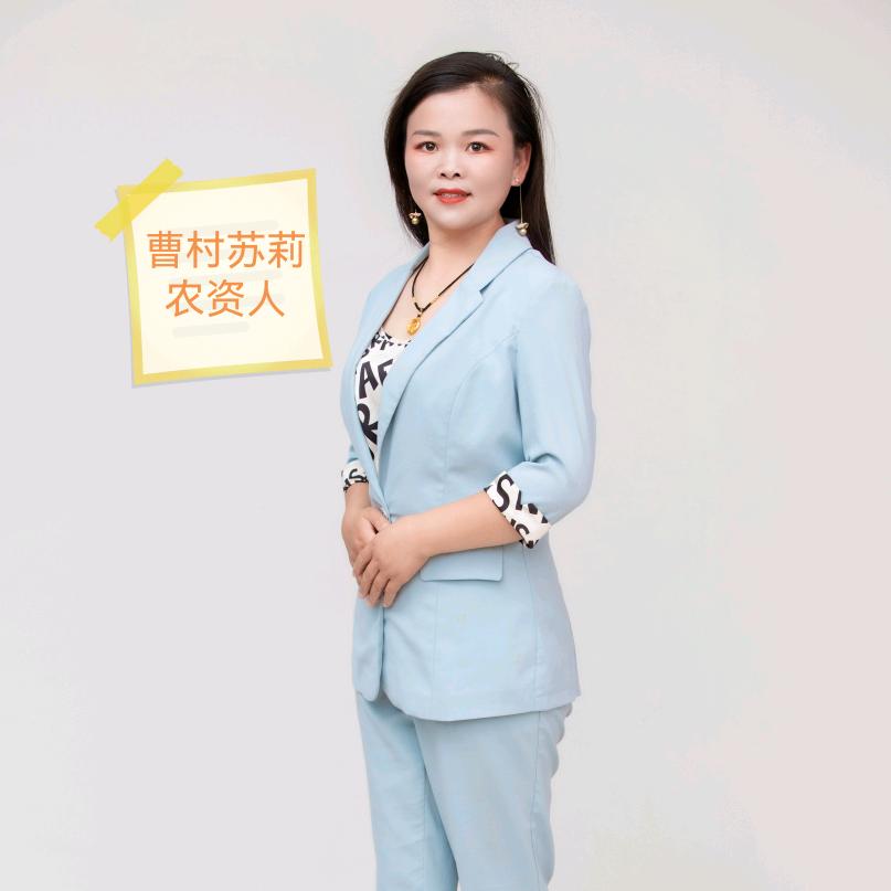 曹村苏莉农资