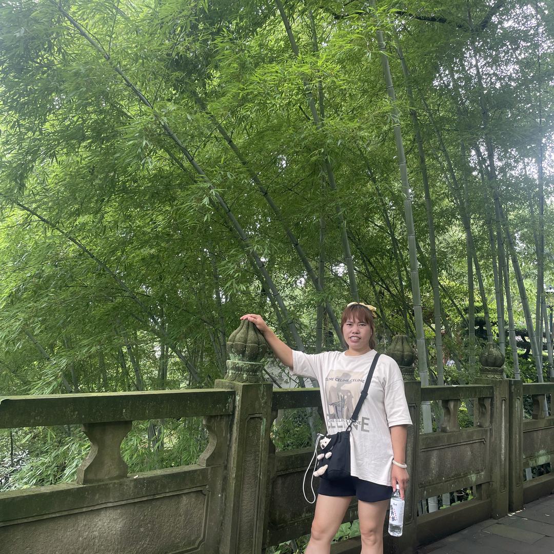 燕子飞飞