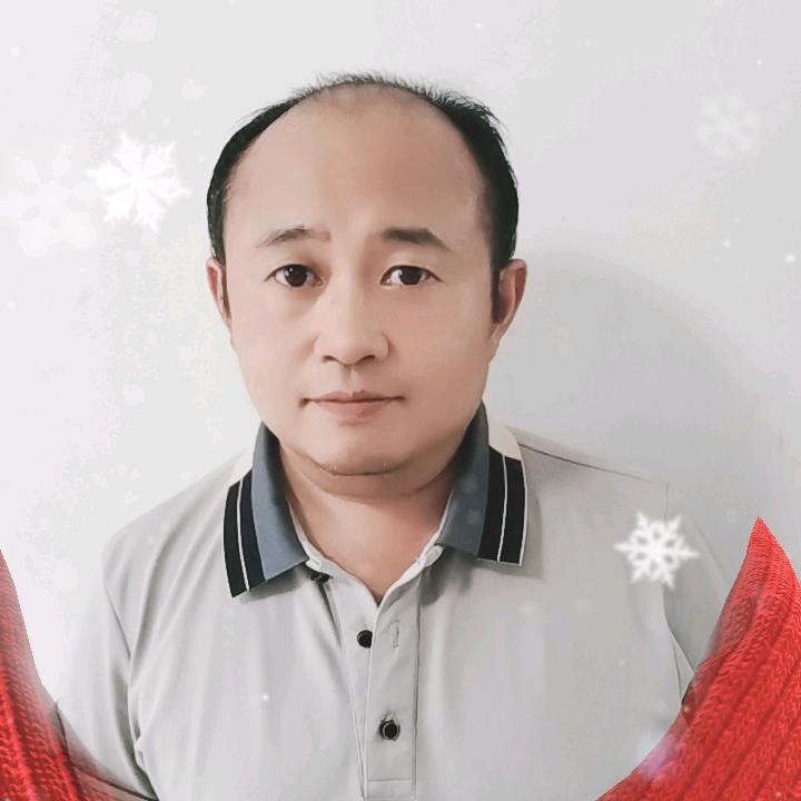 秃哥的快乐生活