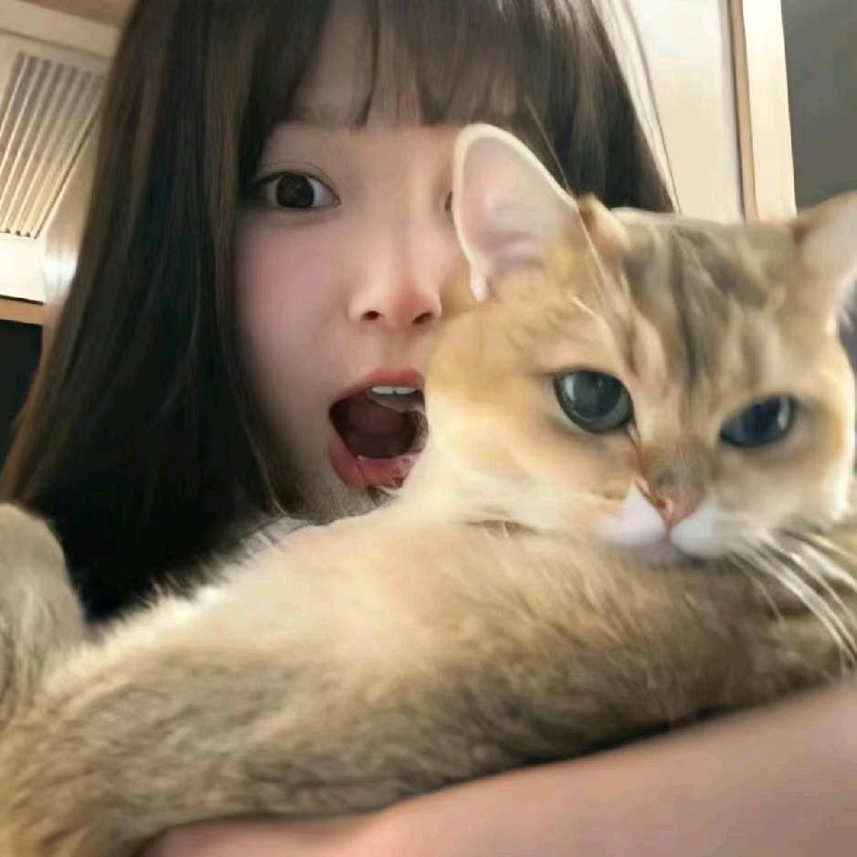 小晶🏍️