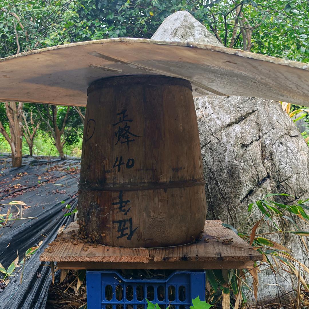 天之蓝土养蜜蜂