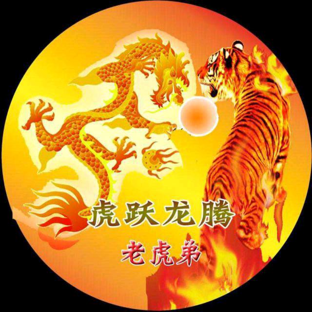 虎跃龙腾龙虎🐉
