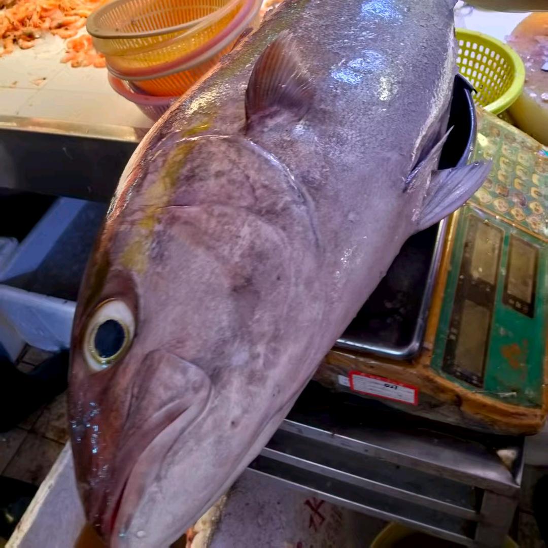 小曾海鲜直选站