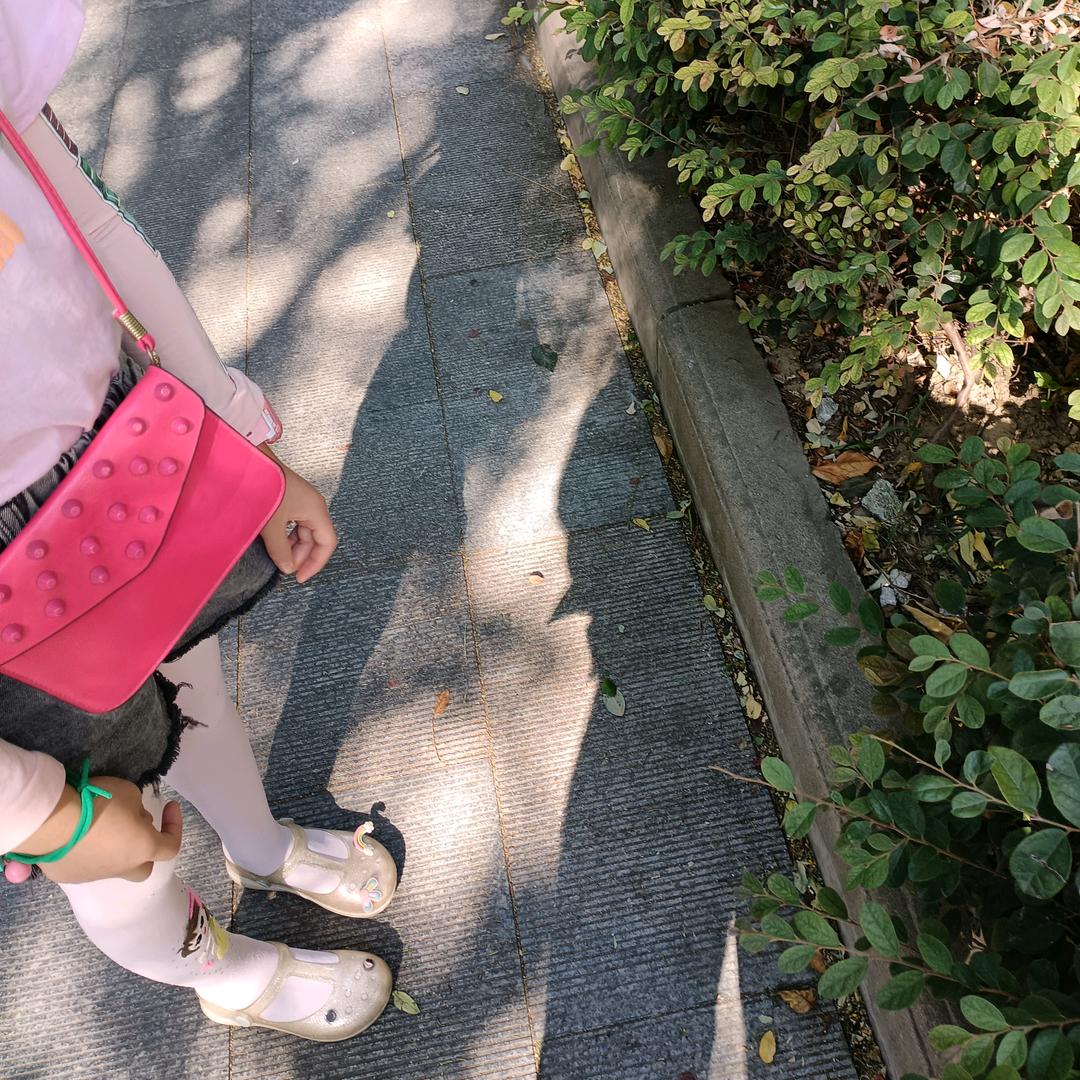 一棵西瓜树