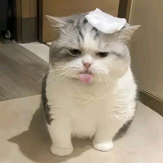 想你的风吹到了落魄谷