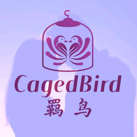 足浴君子奥德彪