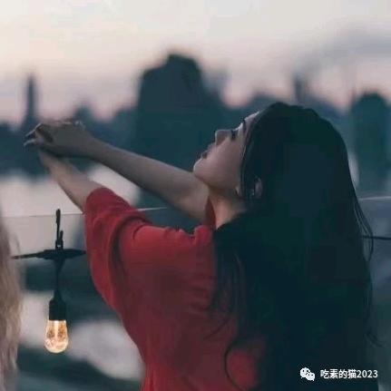 红姐