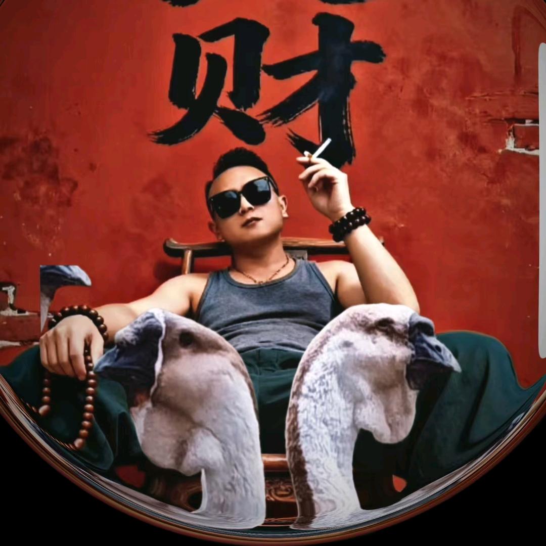 毛哥狮头鹅养殖农场