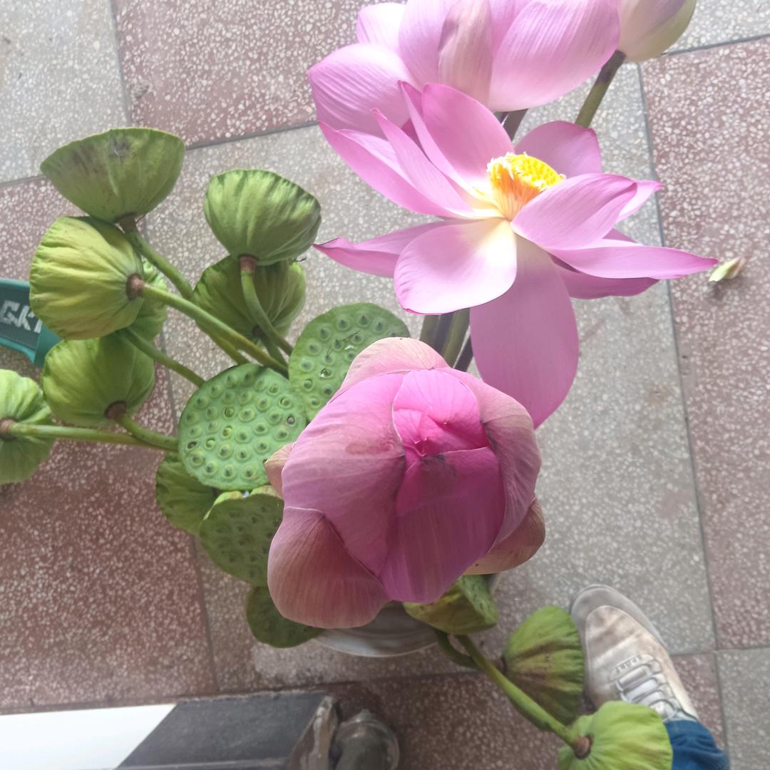 泥鳅黄鳝小龙虾