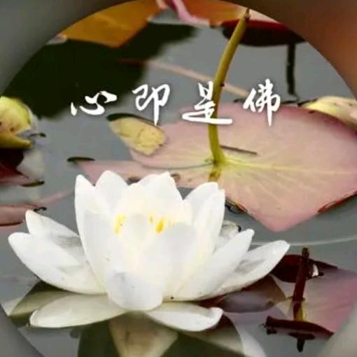 隐居