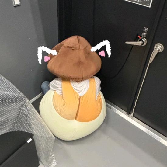 菜菜大王