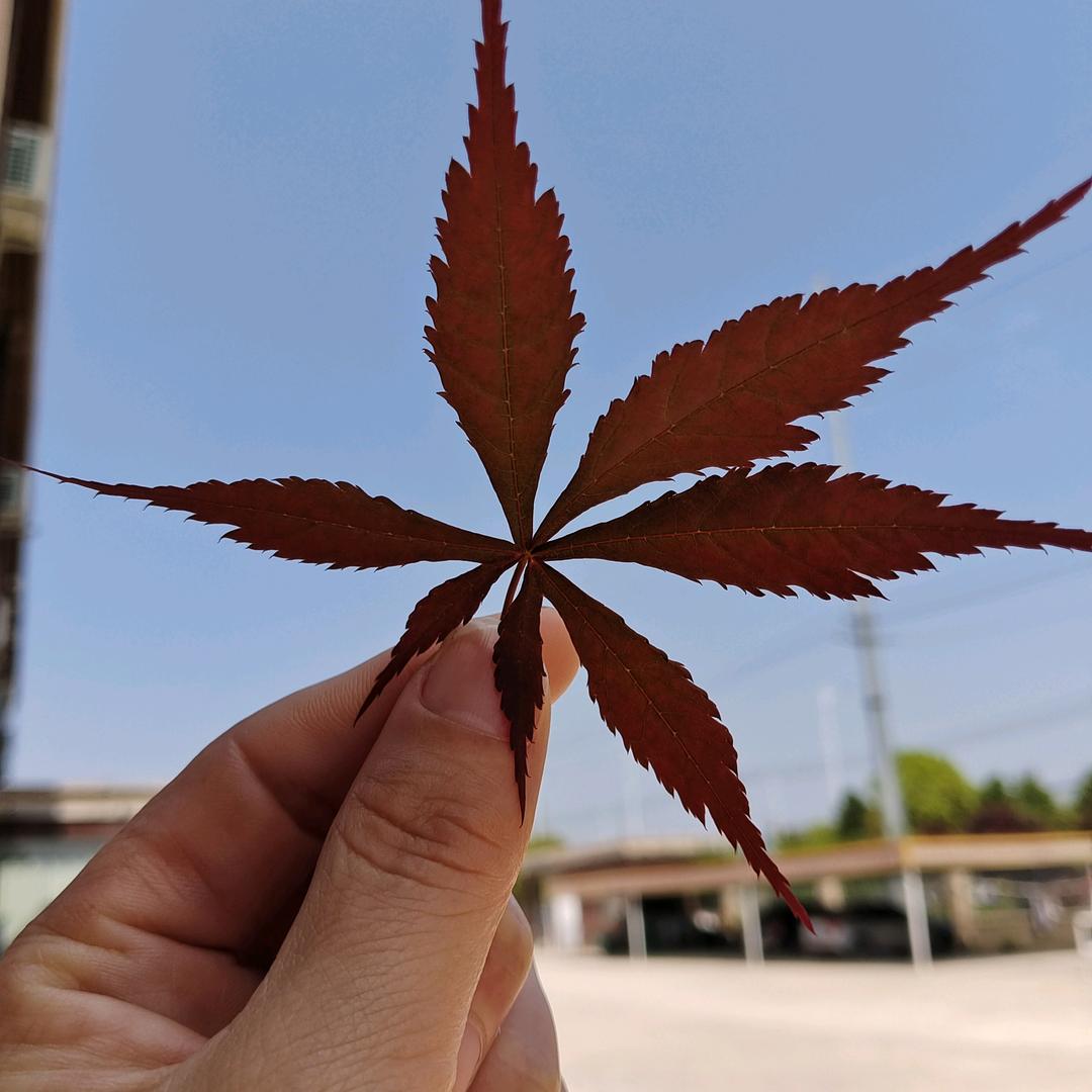 一米阳光