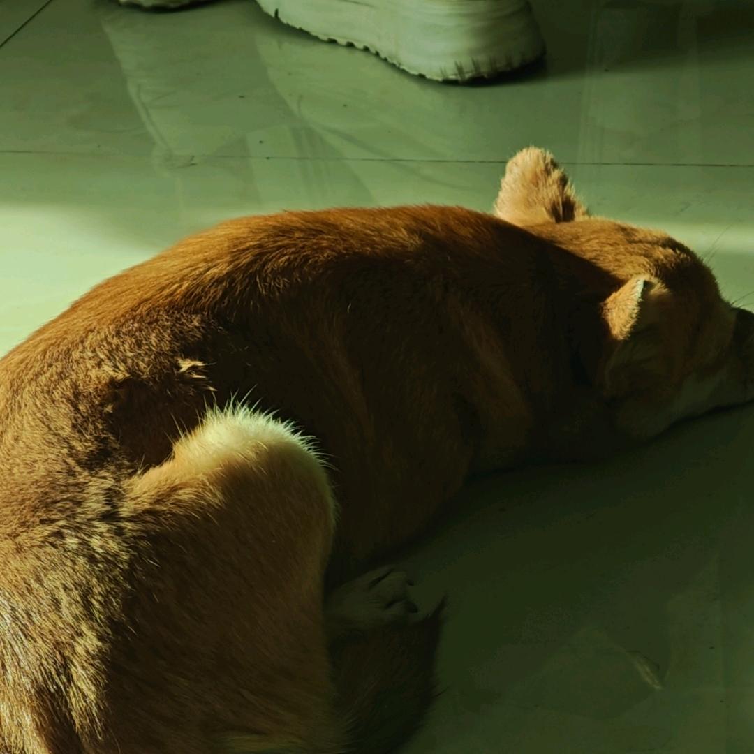 别烦我烦