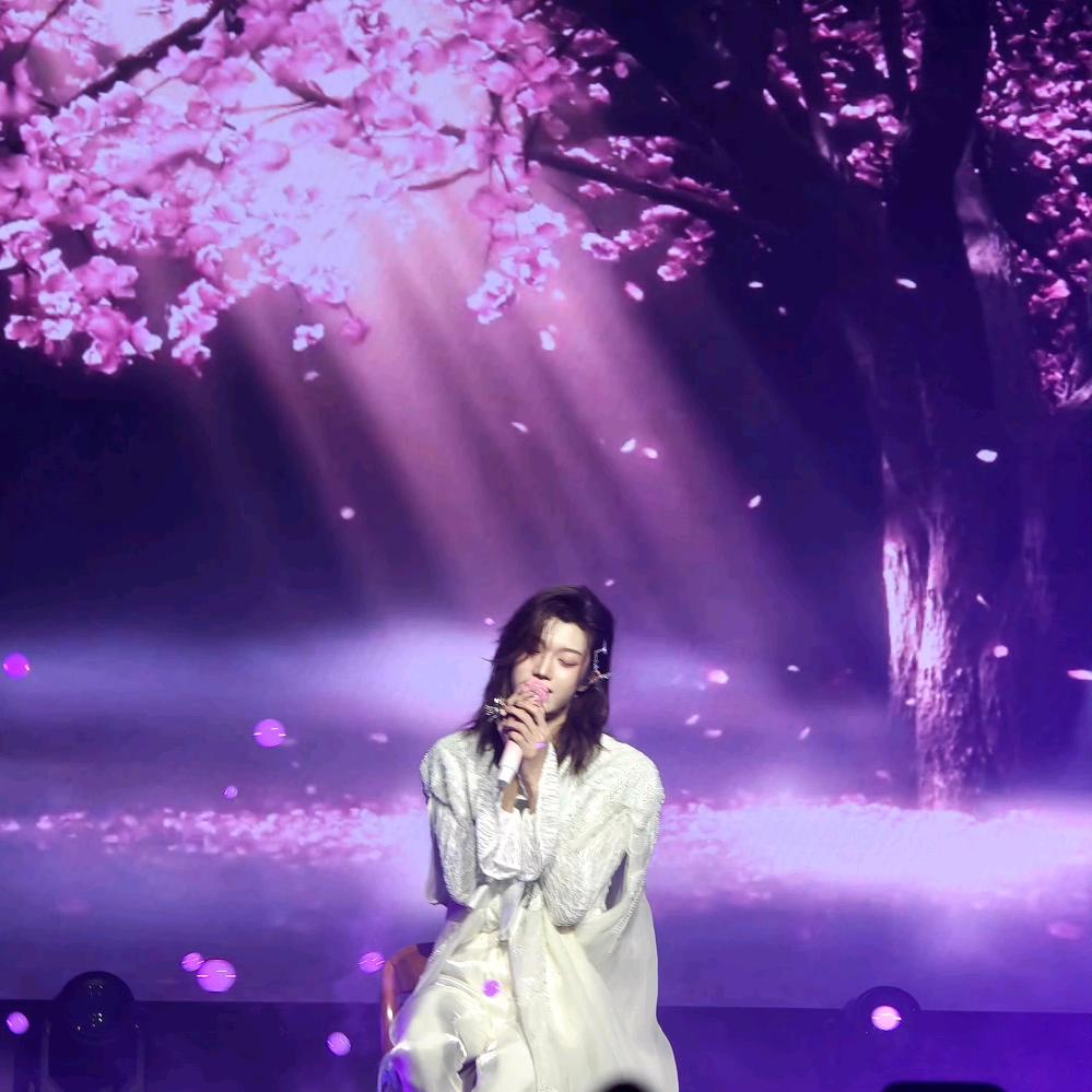 ⁷¹¹手摧白莲花（上岸版）🏮🤍🛸