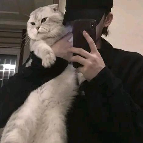 戴尔