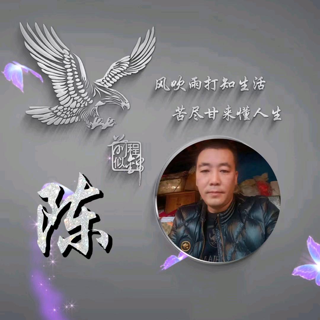 陈杨禹清