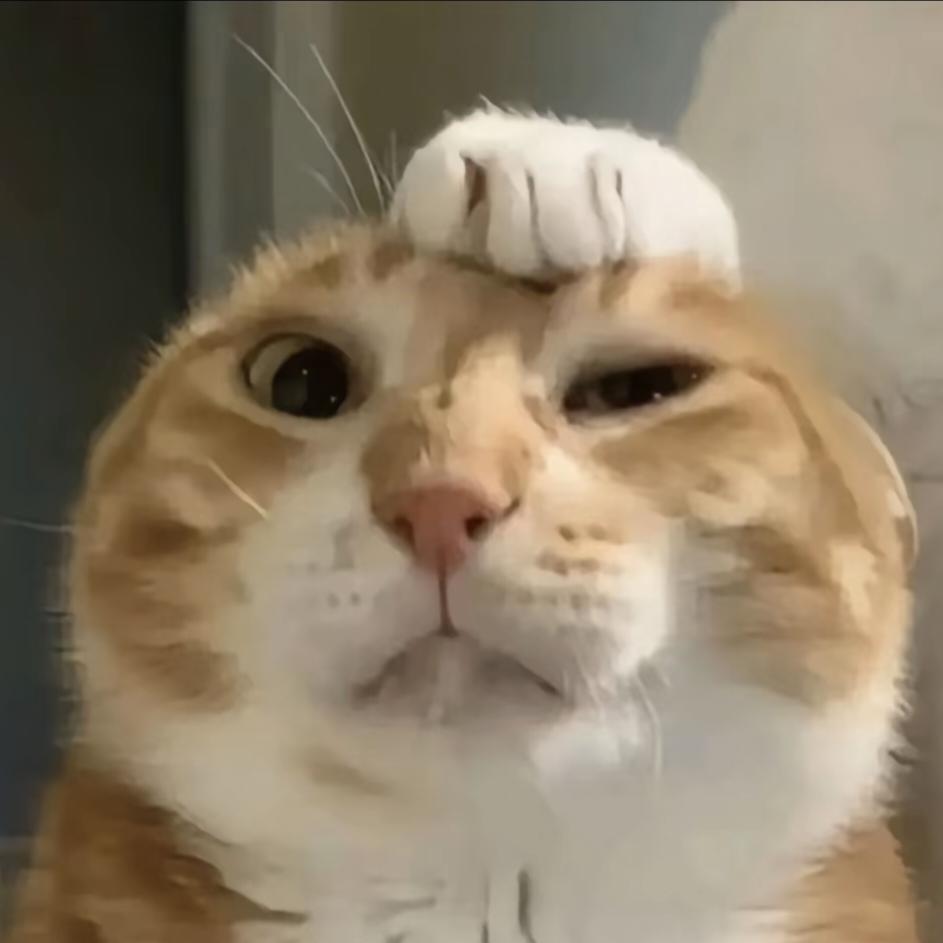 郭一潼是我老婆(●✿∀✿●)