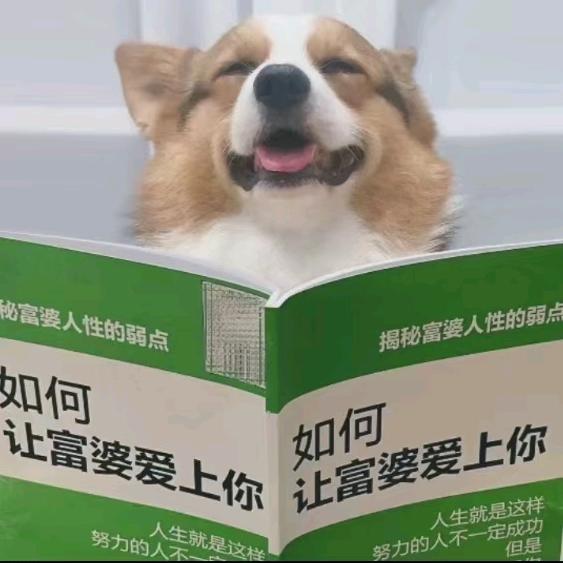 快乐小🐶