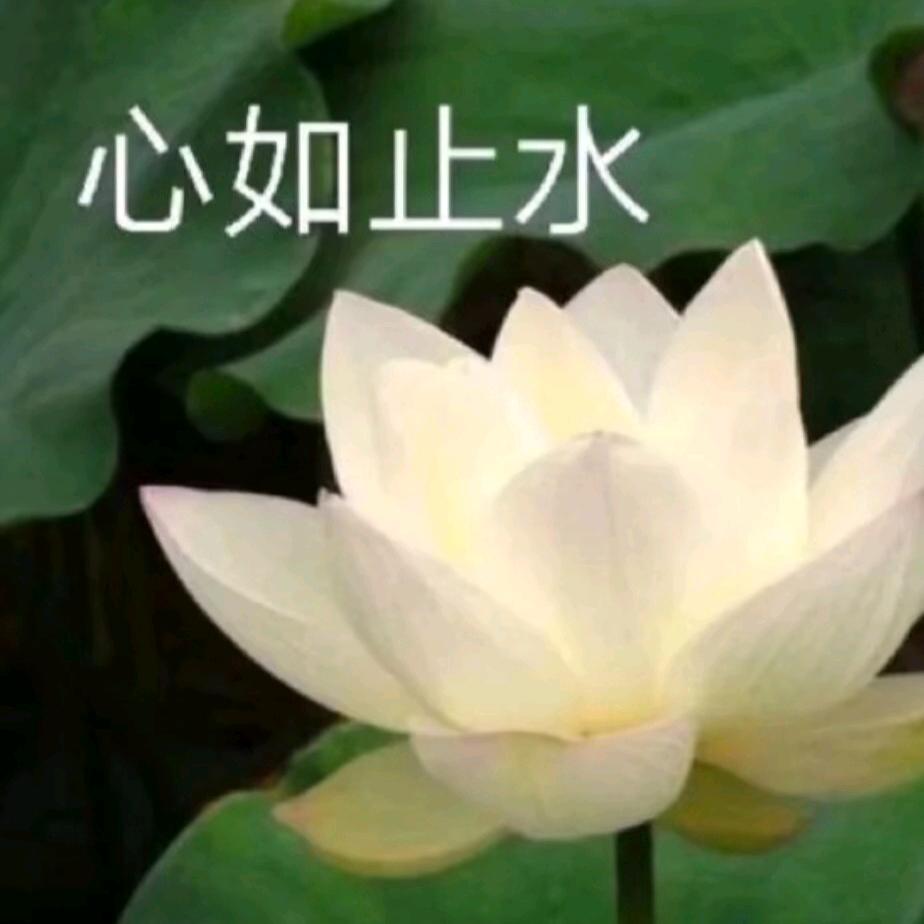 刘忠木
