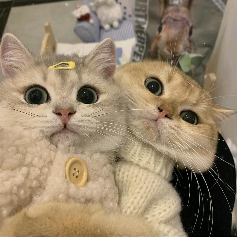 阿门👭小赵一起玩儿