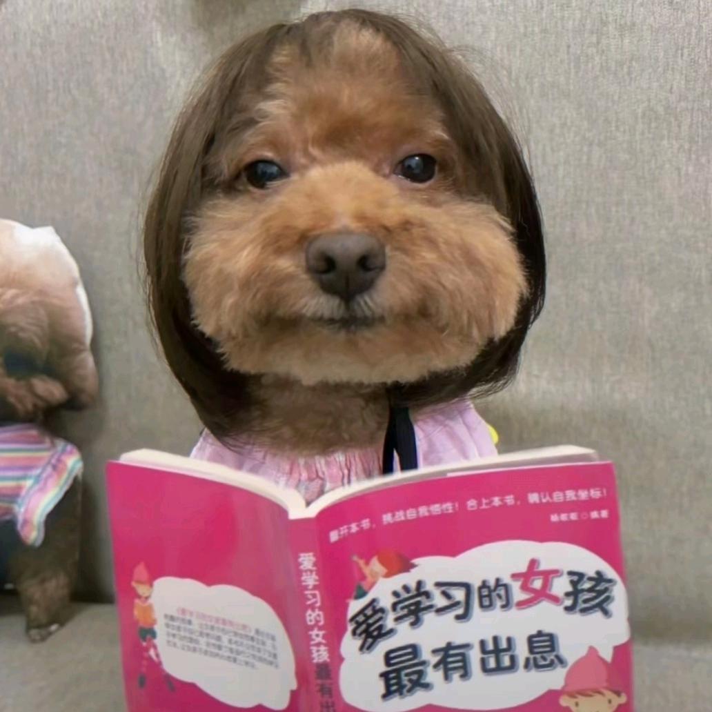桃子气泡水