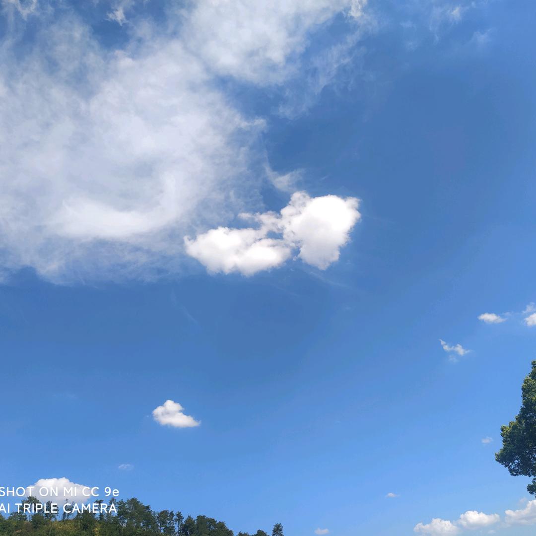 冯青