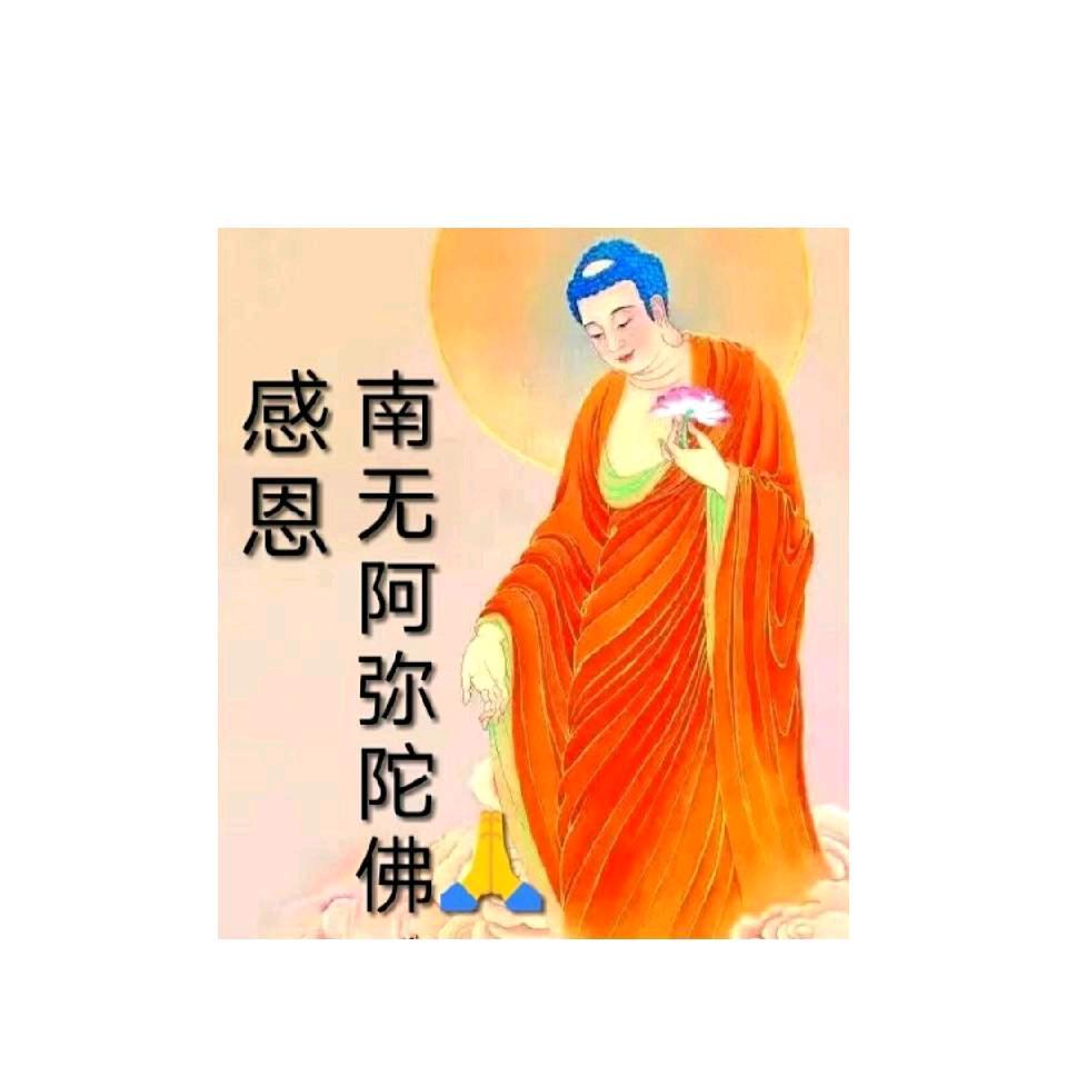 居