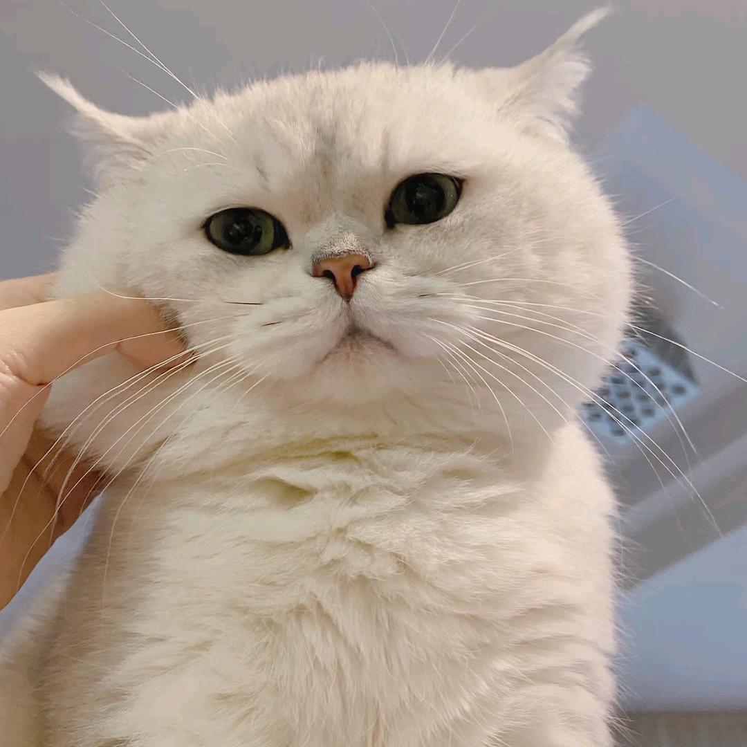 果儿