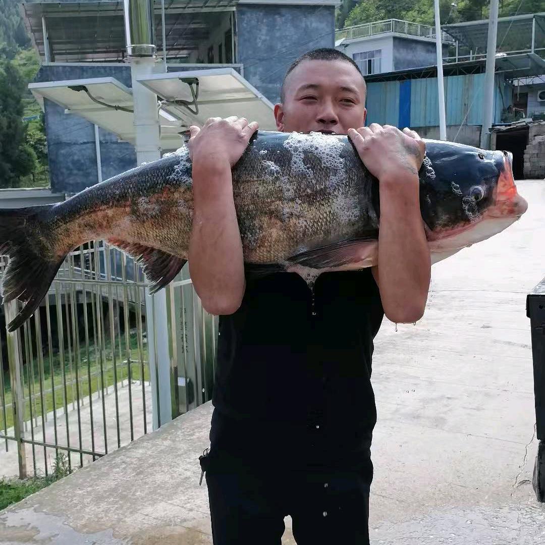 杜家水库敏林休闲钓场    塘主  涛哥