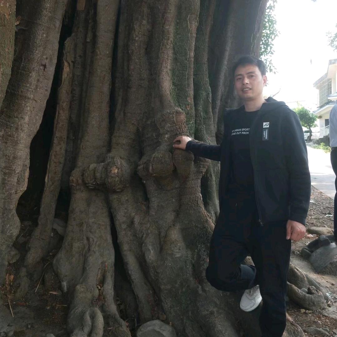 百惠+奶业之家