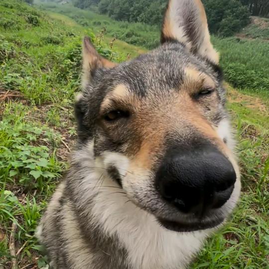 假期第一天