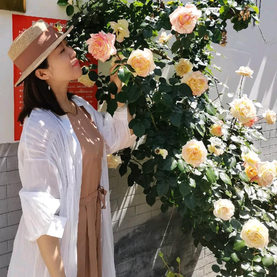 🌸逍遥🌸