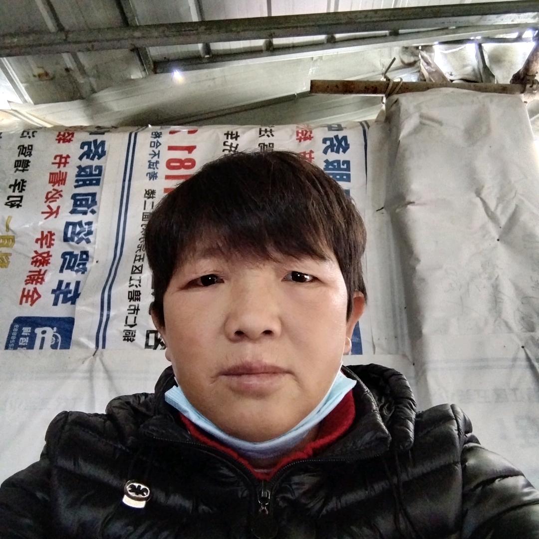 向日葵/.☀