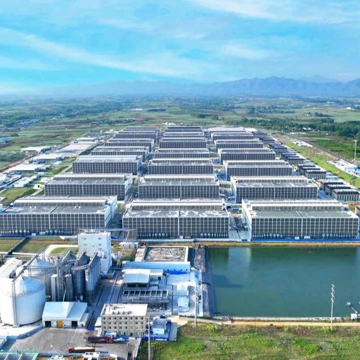 内乡综合体12场