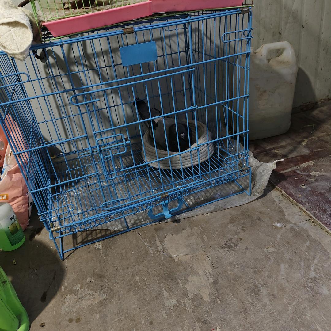用户8661391808099