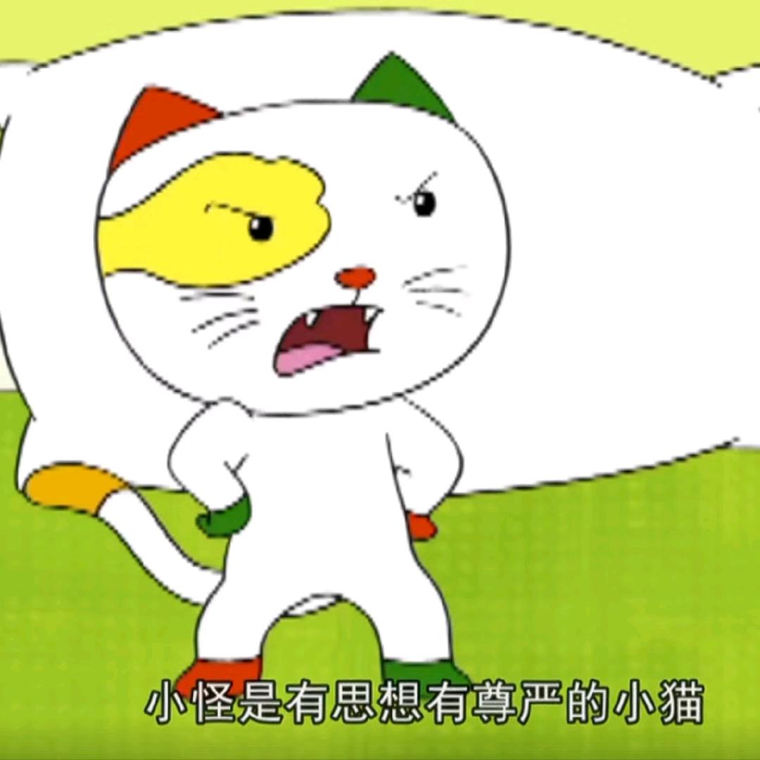齐小美