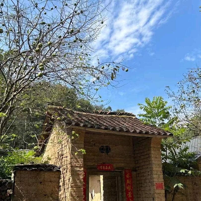 xu