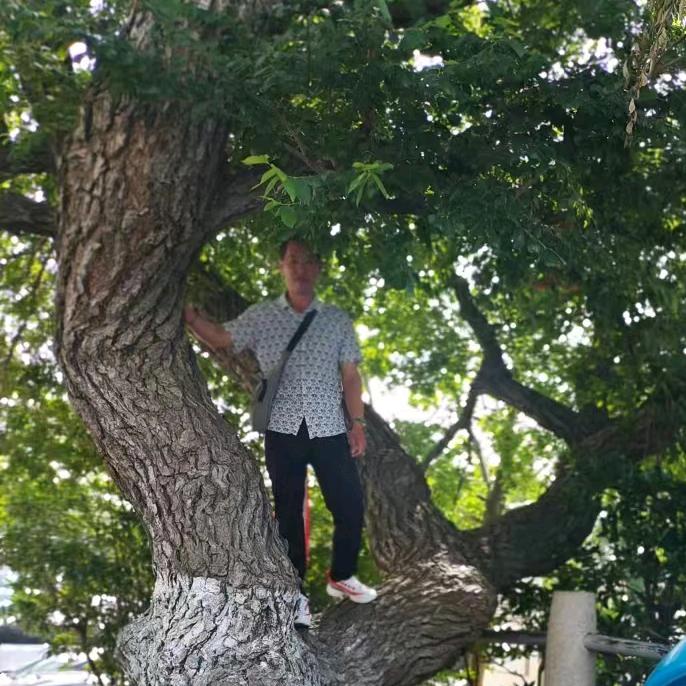 吉祥雨