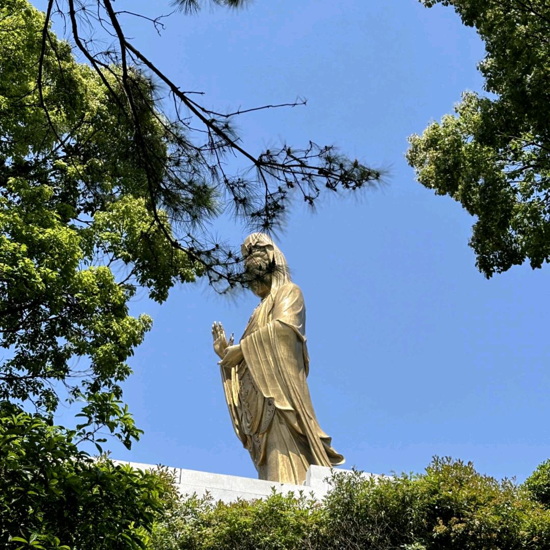 小石头哇