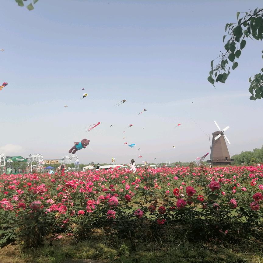 顾有诗意🕊💞