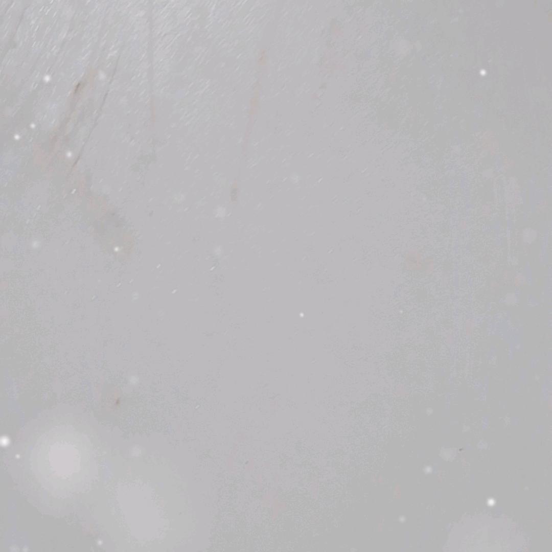 狸狸霁