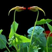 抖音是个无底洞