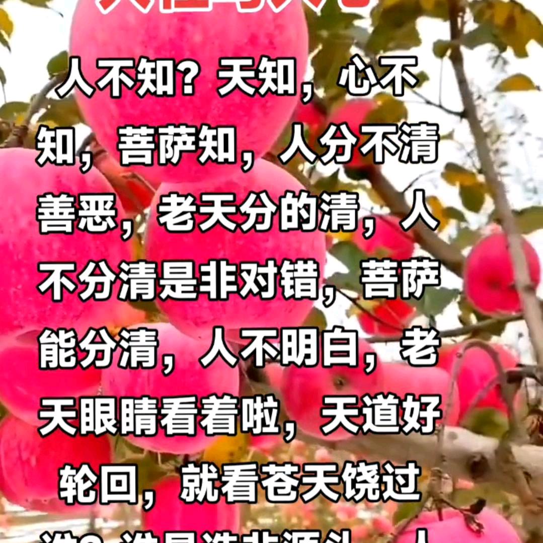 拼命为你付出？人不能忘本？