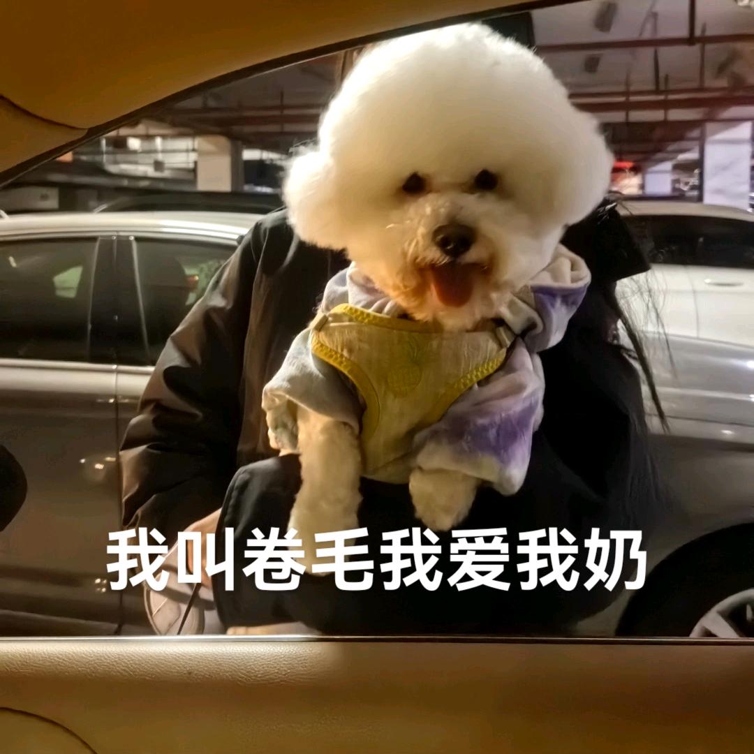 姜姜