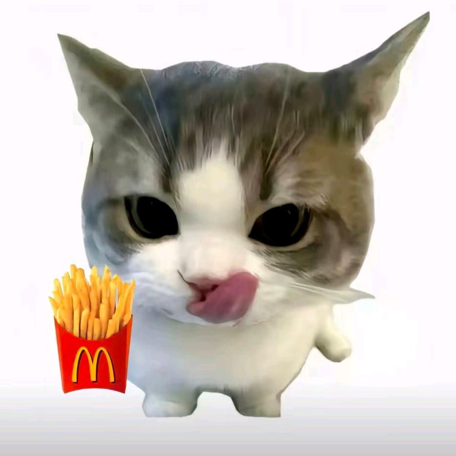 山茶