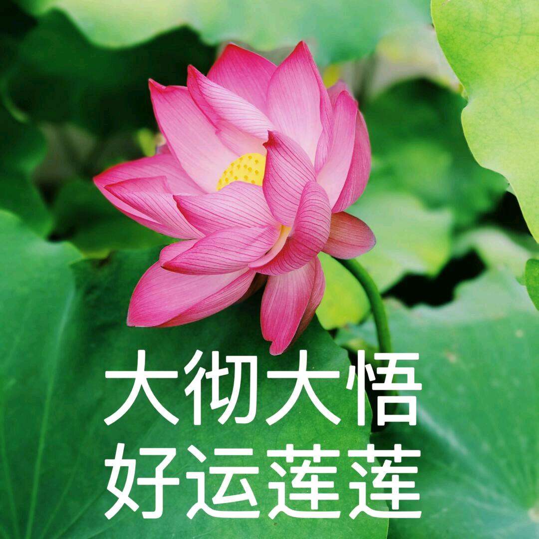 福豆儿✨