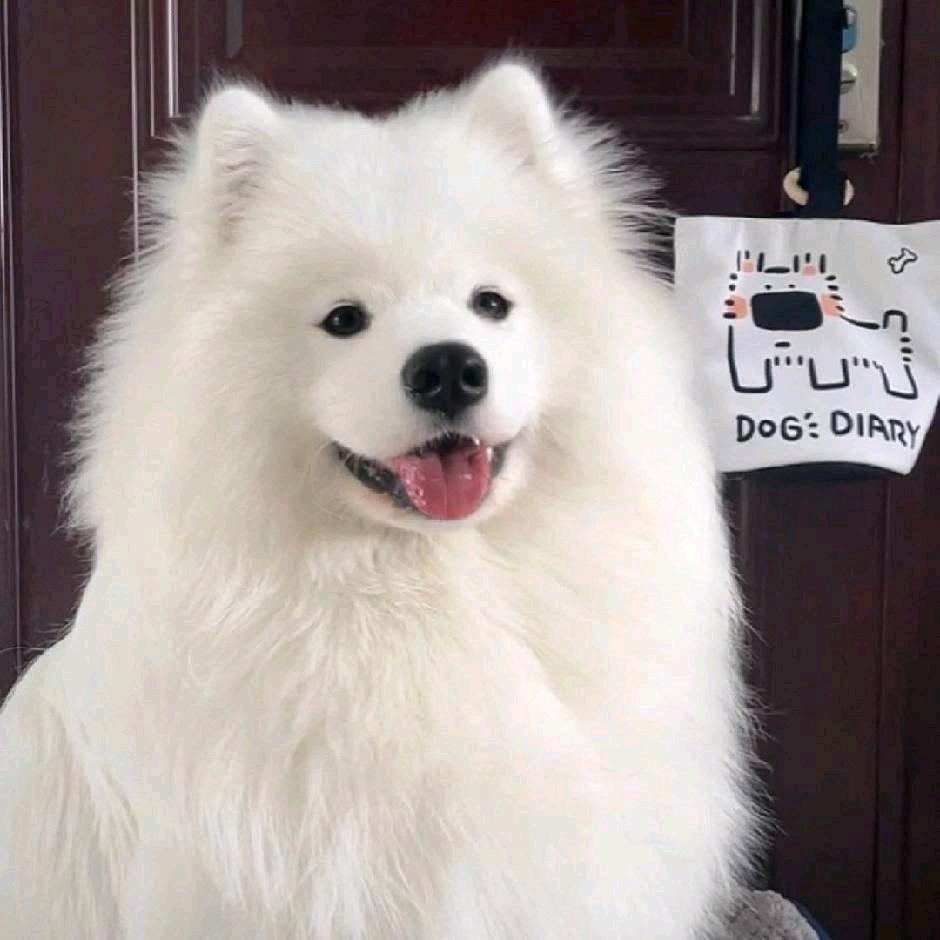 幽默的人(破1W粉)